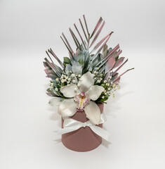 Orchid flower arrangement in a brown pot on an off-white background.
Orchid, orchid flower, 