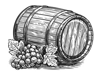 Grape and old wooden barrel. Oak cask sketch. Hand drawn vintage illustration