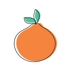 Hand drawn doodle orange on white background. Fruit outline. Vector illustration
