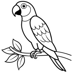 illustration of a parrot
