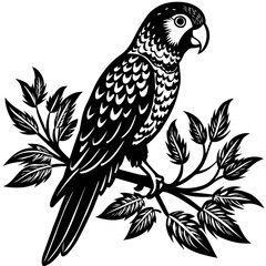 illustration of a bird