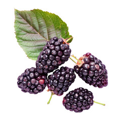 Blackberries, a type of berry, with a green leaf on a transparent background