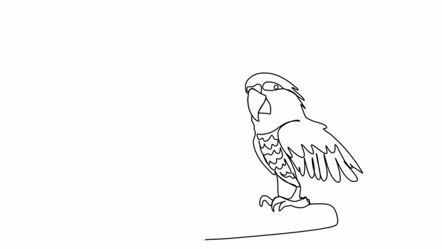 Parrot. One line drawing animation. Video clip with alpha channel.
