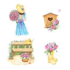 Flowers. Tulips on isolated white. Watercolor drawing. botanical painting, beautiful spring flora, pink flowers