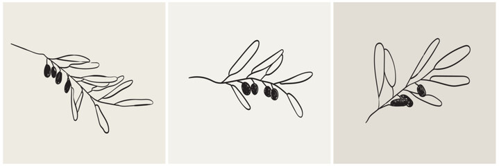 Hand drawn olive branch in minimalist ink brush charcoal style. Decorative vector elements for tattoo, greeting card, wedding invitation. Black silhouette outline olive isolated on white.