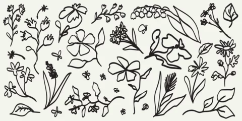 Poster Abstract contemporary flowers with textures. Modern vector illustration. Small hand-drawn flowers set. Wild flowers and plants in charcoal or crayon drawing style. Pencil drawn branches and stems. © Katsyarina