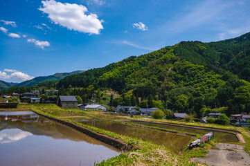 初夏の山の田舎の風景