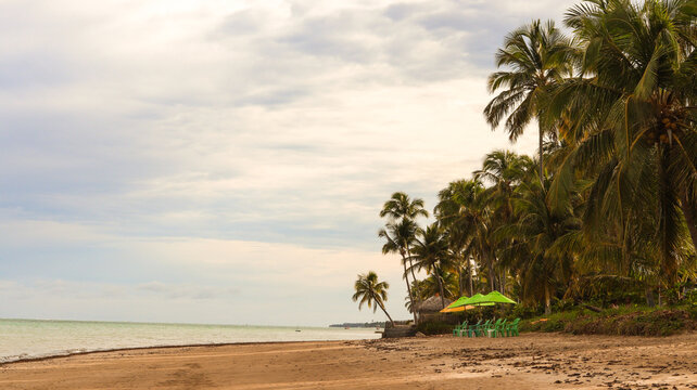 Praia do Patacho, Alagoas, Brasil
