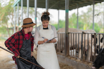 Asian farmer Work in a rural dairy farm outside the city,Young people with cow