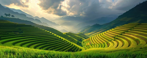 Stof per meter A  Lush green rice terrace field, natural concept. © *Lara*