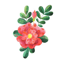 Watercolor stylized dog roses illustration flowers, leaves - obrazy, fototapety, plakaty