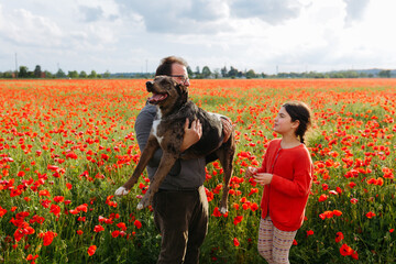 portrait of happy man holding big dog in the arms and his daughter standing next to them in field of poppies