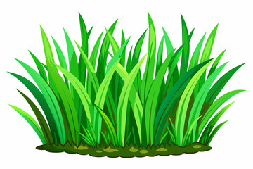 grass green, grass drawing, white background