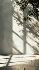 Sunlit terrace near the house, shadows on the wall from trees