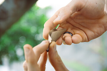 Rolling Up for 420: Crafting a Joint Outdoors