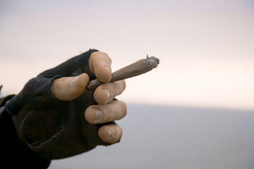 420 Beach Bliss: Enjoying a Marijuana Blunt by the Seaside