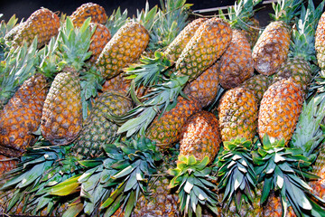 Pineapple in the truck, coming from farms in the Federal District and sold at the CEASA Warehouse,...