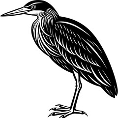 Naklejka premium indian-pond-heron-or-paddy-bird-black-silhouette-v