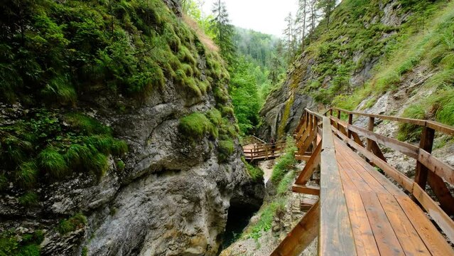 A mountain gorge with a running water creek, surrounded by greenery and rocks. a wooden path caresses the rocks around it, and an unidentified woman is standing in the distance. a 4K video clip.