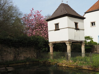 Klosterruine Gräfinthal im Mandelbachtal - Marianischer Wallfahrtsort seit dem späten Mittelalte 