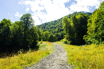 Beautiful panoramic landscape - mountain trail among green mountains and hills on a sunny summer...