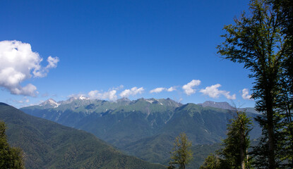 Beautiful panoramic landscape - green mountain peaks and trees on a sunny summer day and a space to copy