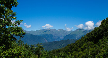 Beautiful panoramic landscape - green mountain peaks and trees on a sunny summer day and a space to...
