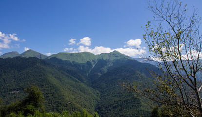 Beautiful panoramic mountain landscape with green trees and mountain slopes on a sunny summer day...