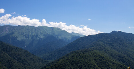 Beautiful panoramic landscape - green mountain peaks and trees on a sunny summer day and a space to copy