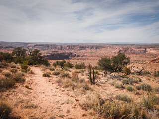 Wide View of Paria Canyon in Vermillion Cliffs National Monument in Page Arizona