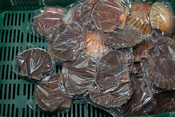 Cleaning and gutting of scallops in a shellfish treatment plant in Galicia	