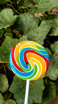 La fotograf&iacute;a captura la esencia vibrante y atractiva de un lollipop, con sus colores brillantes y su forma tentadora.