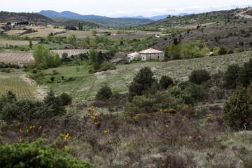 Obraz premium Countryside around Saint Maurice d'Ardeche - Ardeche - France