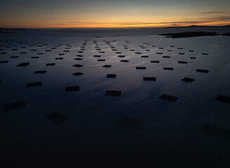 Aerial view of a polygon of pans for mussel cultivation in the Ría de Arousa at dusk.
