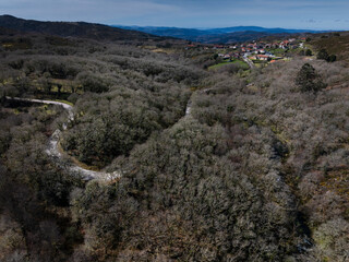 Aerial view of the carballeira de Pigarzos and the town of Pigarzos with the curves of the road crossing the trees