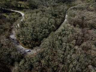 A car drives along the curves of the road that crosses the Pigarzos oak grove in A Lama, Pontevedra. Aerial view of the Pigarzos carballeira in A Lama
