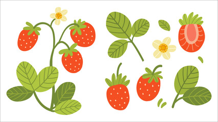 Set of ripe strawberries and pieces of fruit. Vector illustration isolated on white background.
