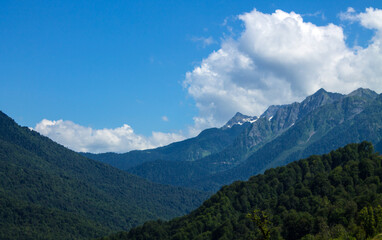 Fototapeta premium Beautiful panoramic mountain landscape with green trees and mountain slopes on a sunny summer day in Krasnaya Polyana in Russia