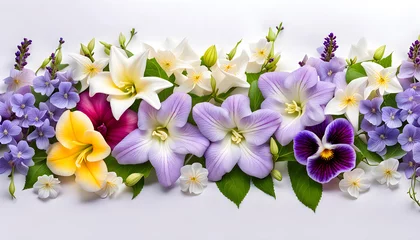 Fotobehang Cinema screenshot image of lavender jasmine lily hollyhocks pansy and periwinkle flowers border frame © Spring of Sheba
