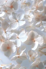 Close up of a bunch of white flowers, perfect for floral backgrounds
