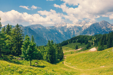 Alpine Meadows, Mountain Valley with Trees, Green Grass and Blue Sky with Clouds. Velika Planina, Slovenia - 780823093