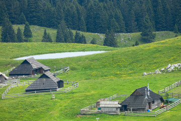 Traditional Mountain Wooden Shepherd Shelters on Big Pasture Plateau or Velika Planina in Slovenia - 780823400