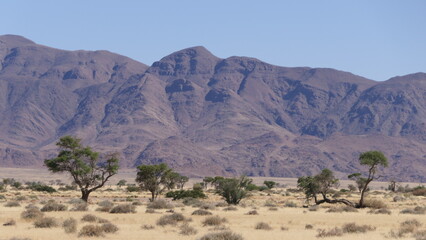 namibia landscape