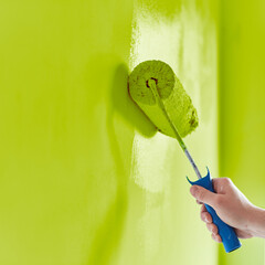 Close-up on the hand of a man who is painting a wall spring green  with a paint roller.  Painting apartment, renovating with spring green color paint.