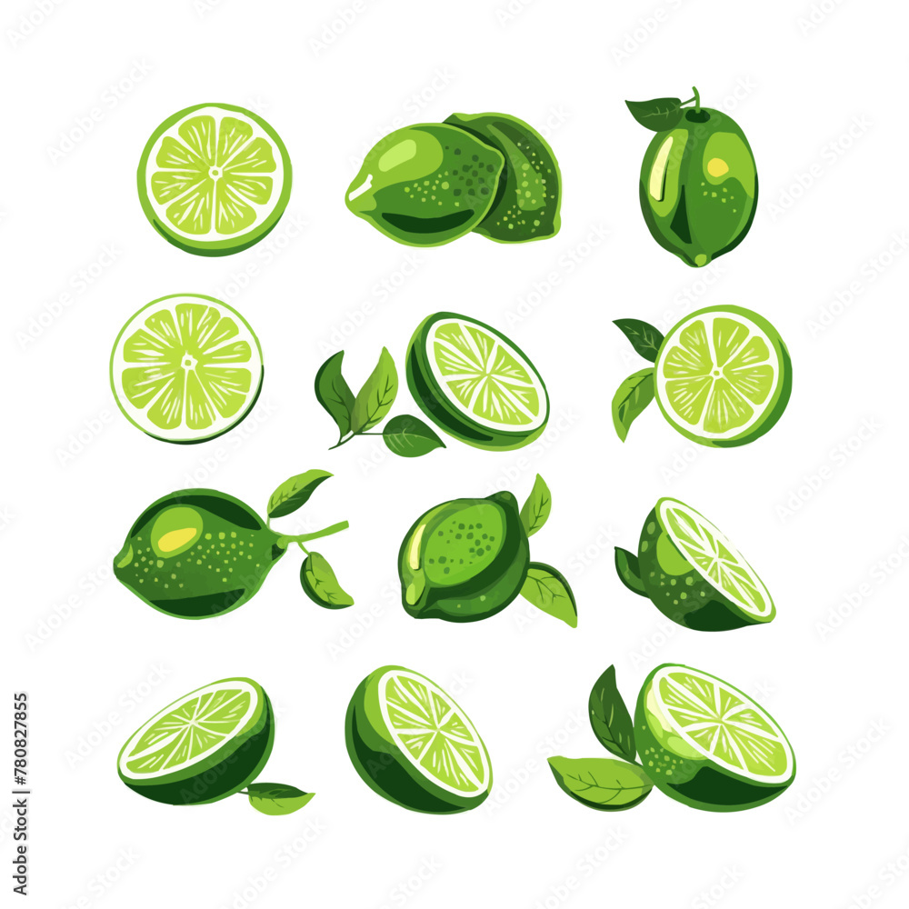 Poster fresh lime fruit. collection of lime vector icons isolated on white background. vector illustration 