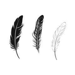 Feather | Minimalist and Simple set of 3 Line White background - Vector illustration