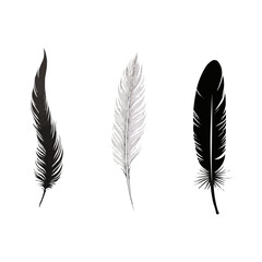 Feather | Minimalist and Simple set of 3 Line White background - Vector illustration