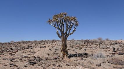 namibia landscape