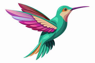 Dainty Hummingbirds vector illustration 