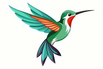 Dainty Hummingbirds vector illustration  - obrazy, fototapety, plakaty